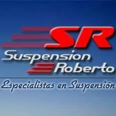 Elasticos - Suspension - Roberto