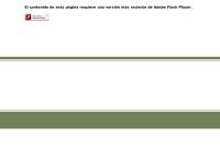 Sitio web de Termal Solution Sa Servicios Civiles E Industriales