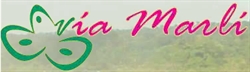 Via Marli SRL Pasajes- Cruceros- Paquetes Turisticos