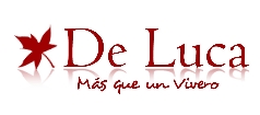 De Luca Vivero
