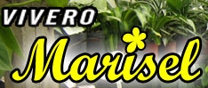 Vivero Marisel - Parquizacion