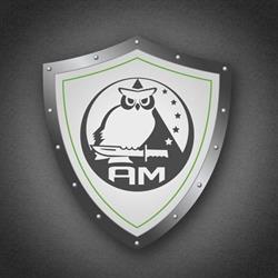A.M. Seguridad Empresaria S.R.L.