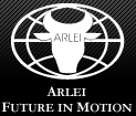 Curtiembre Arlei S.a