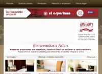 Aslan Decoración