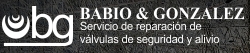 Babio y Gonzalez Srl