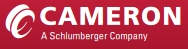 Cameron Argentina S.a.i.c