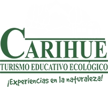 Campamento Ecologico Carihue
