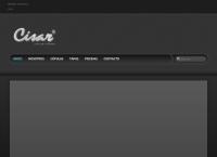 Sitio web de Cisar S.r.l