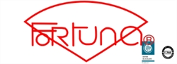 Estab Metalurgico Fortuna Srl Mecanizado en General