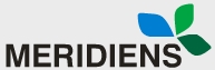 Meridiens Instrumental Y Servicios