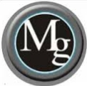 Movigom S.r.l