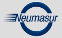 Neumasur S.a
