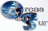 Orcas del Sur