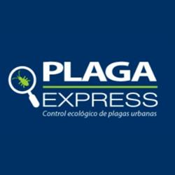 Plaga Express SRL