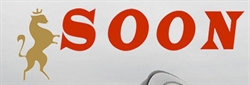 Soon - Servicio de Remis Agencia Lider en Zona Sur