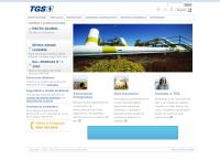 Sitio web de Transportadora de Gas Del Sur S a