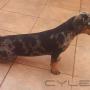 Subido por visitante en 16/6/2016