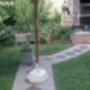 Hoteleria Canina Sin Jaulas Ni Caniles