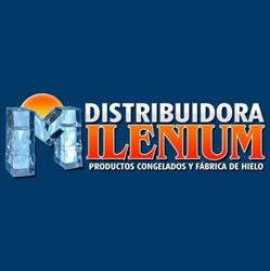 Distribuidora Milenium S.r.l