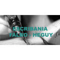 ESCRIBANIA FALBO - HEGUY