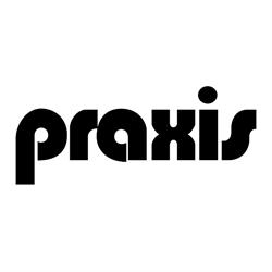 Praxis Arte Internacional