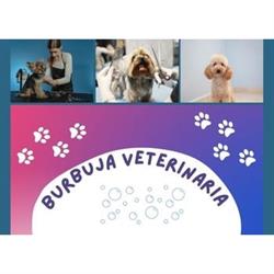 Burbuja Veterinaria