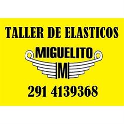 Taller Miguelito Elásticos