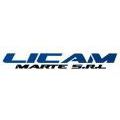 Licam