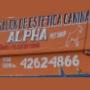 # 1