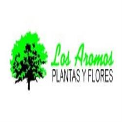 Plantas y Flores los Aromos