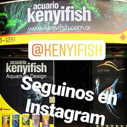 Kenyifish Aquarium Design Peces de Todo El Mundo