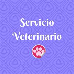 SERVICIO VETERINARIO