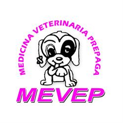 Mevep s.a.