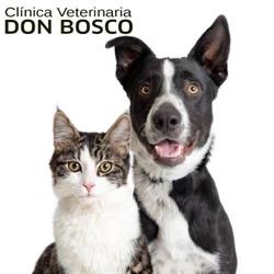 Veterinaria Don Bosco 24 Hs