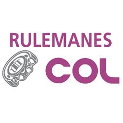 Rulemanes Col De S Viviana Larsen