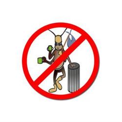 Fumigadora Luján