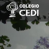 COLEGIO CEDI