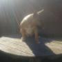 Subido por visitante en 16/6/2017