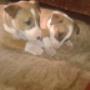 Subido por visitante en 16/6/2017
