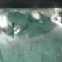 Subido por visitante en 16/6/2017