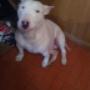 Subido por visitante en 16/6/2017