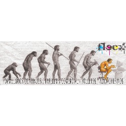 Fleck