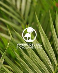 Vivero del Sol & Cyclamen Srl