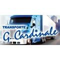 TRANSPORTE CARDINALE