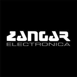 Zangar Electrónica Sistemas de Seguridad Hogar y Automotor Automatización de Portones