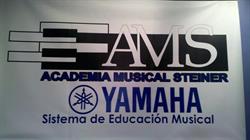 Academia Musical Steiner