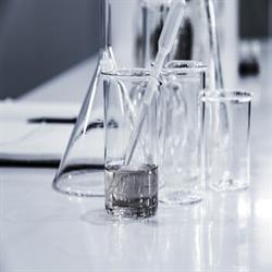 Laboratorio Rauek