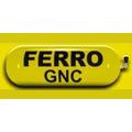 Ferro GNC