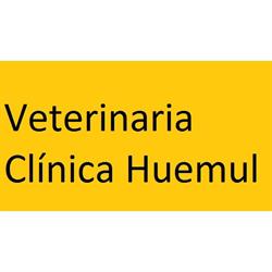 Veterinaria Clínica Huemul
