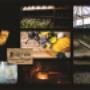 Tintoreria Cueros - Professional Dry Cleaning - Seguridad